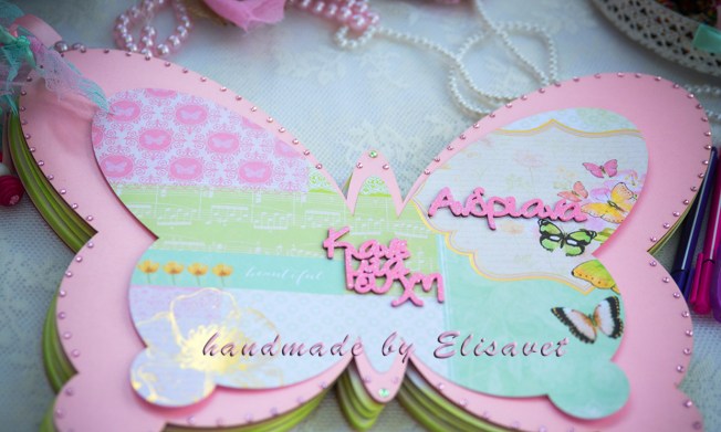 12_42_11-_DSC_8047 copy