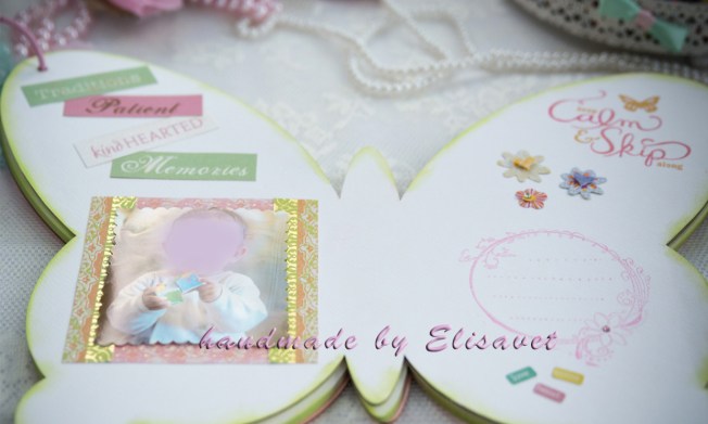 12_42_11-_DSC_804sd7